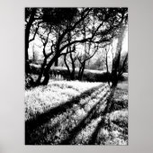 Long Shadows Black en White Poster (Voorkant)