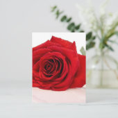 Long Stem Red Rose Briefkaart (Staand voorkant)