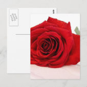 Long Stem Red Rose Briefkaart (Voorkant / Achterkant)