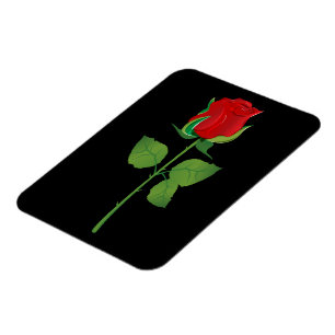 Long Stem Red Rose Magneet