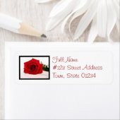 Long Stem Red Rose Mailing Label (Insitu)