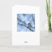 Long Tailed Tit with feather Kaart (Achterkant)