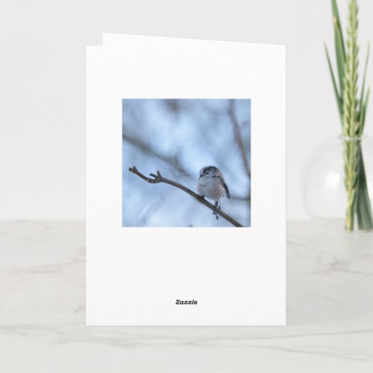 Long Tailed Tit with feather Kaart (Achterkant)