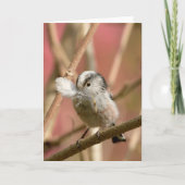 Long Tailed Tit with feather Kaart (Voorkant)