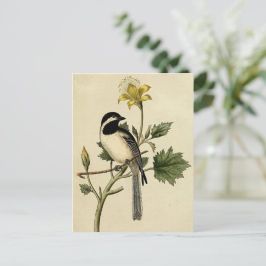 Long Tailing Chickadee Briefkaart (Staand voorkant)
