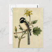 Long Tailing Chickadee Briefkaart (Voorkant / Achterkant)