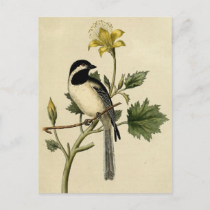 Long Tailing Chickadee Briefkaart
