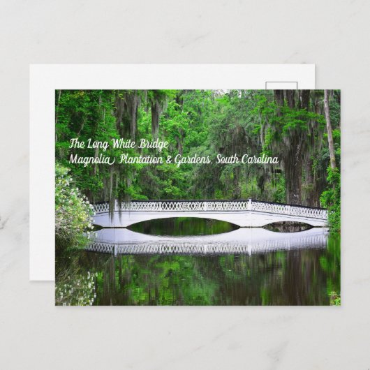 Long White Bridge-Briefkaart Briefkaart (Voorkant / Achterkant)