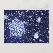 Long Winter's Night Briefkaart (Voorkant)