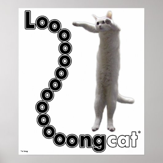 Longcat is lang poster (Voorkant)