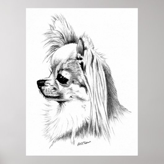 Longcoat Chihuahua Champion Poster (Voorkant)