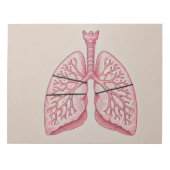 Longdiagram Notitieblok (Voorkant)