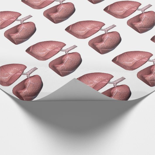 longen cadeaupapier (Hoek)