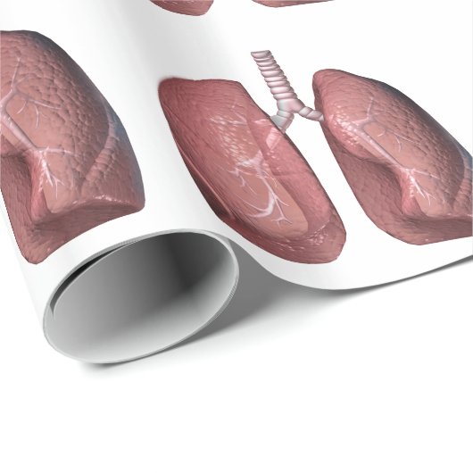 longen cadeaupapier (Rol Hoek)