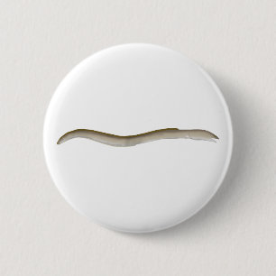 Longfin Snake-eel Ronde Button 5,7 Cm