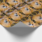 Longhair Chihuahua pom-chi Pomeranian Cadeaupapier (Hoek)