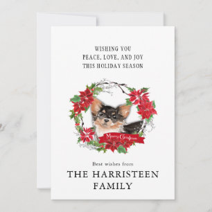 Longhair Chihuahua Waterverf Poinsettia Kerstmis Feestdagenkaart