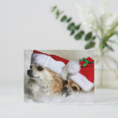 Longhair chihuahuas feestdagenkaart (Staand voorkant)