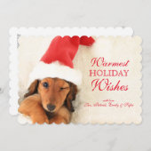 Longhair Dachshund Puppy Winking Feestdagenkaart (Voorkant / Achterkant)