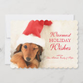 Longhair Dachshund Puppy Winking Feestdagenkaart (Voorkant)