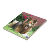 Longhair German Shepherd Tegeltje (Zijkant)
