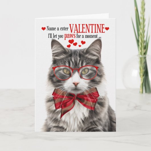 Longhair Grey Tabby Cat Valentijn Feline Humor Feestdagen Kaart (Voorkant)