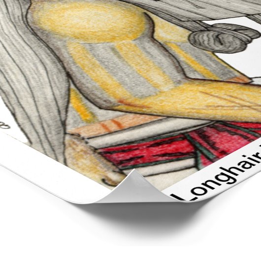 Longhair Katsinas Poster (Hoek)