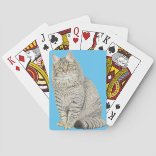 Longhair Tabby Cat Bicycle-speelkaarten Pokerkaarten