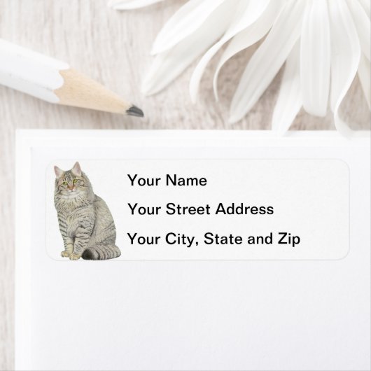 Longhair Tabby Cat Etiket (Insitu)