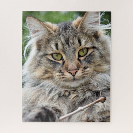 Longhair Tabby Cat Jigzaag Puzzle Legpuzzel (Verticaal)