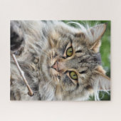 Longhair Tabby Cat Jigzaag Puzzle Legpuzzel (Horizontaal)