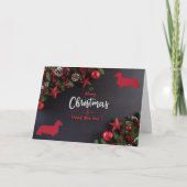 Longhair Teckel Gevouwen Vakantie Kaart (Voorkant)