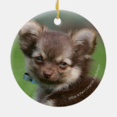 Longhaire Chihuahua Puppy die naar camera kijkt Keramisch Ornament (Achterkant)