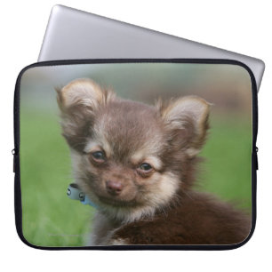 Longhaire Chihuahua Puppy die naar camera kijkt Laptop Sleeve