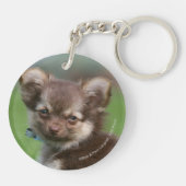Longhaire Chihuahua Puppy die naar camera kijkt Sleutelhanger (Achterkant)