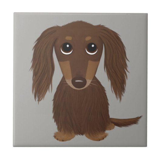 Longhaire Chocolate Brown Dachshund Tegeltje (Voorkant)