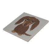 Longhaire Chocolate Brown Dachshund Tegeltje (Zijkant)