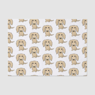 Longhaire Cream Dachshunds Patroon   Kute honden Tissuepapier