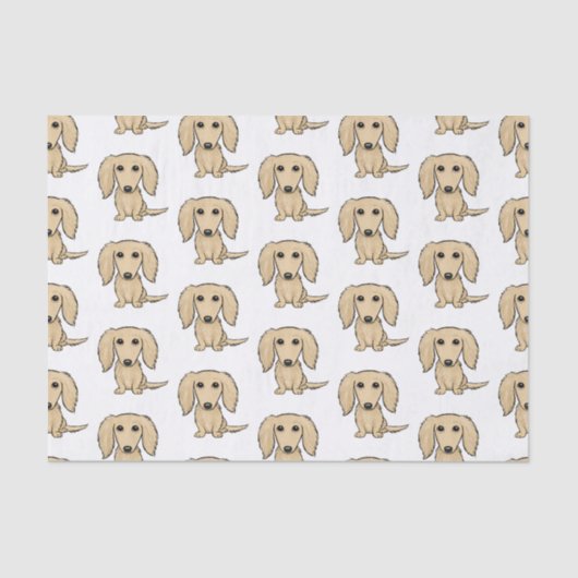 Longhaire Cream Dachshunds Patroon | Kute honden Tissuepapier (Voorkant)