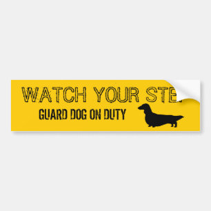 Longhaire Dachshund Bekijk je stap Bumpersticker