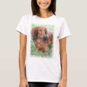 Longhaire Dachshund-dames met T-Shirt (Voorkant)