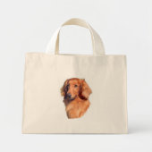 Longhaire Dachshund Mini Tote Bag (Voorkant)