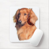 Longhaire Dachshund Muismat (Met muis)