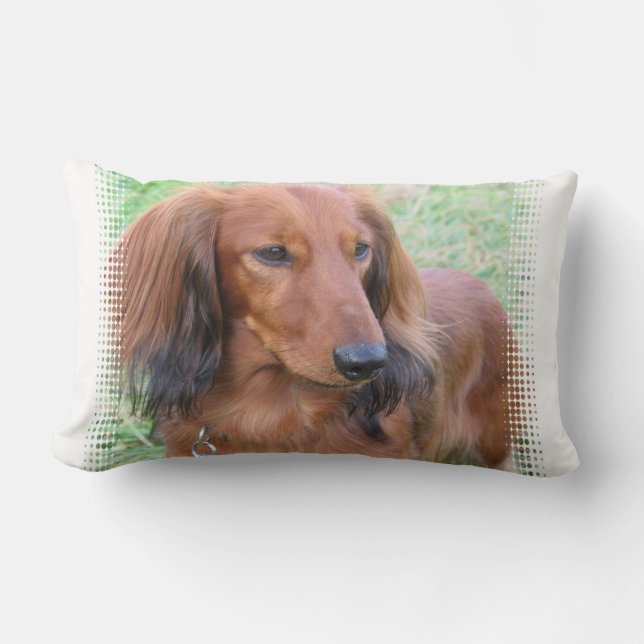 Longhaire Dachshund Pillow Kussen (Voorkant)