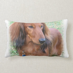 Longhaire Dachshund Pillow Kussen