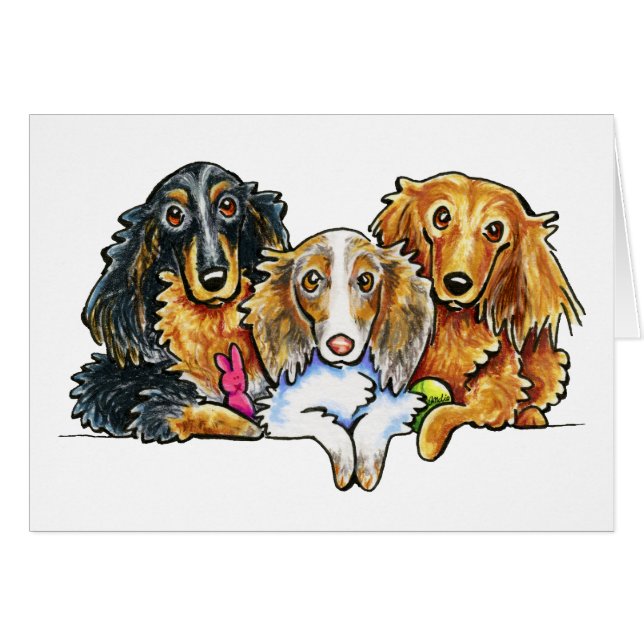 Longhaire Dachshund Trio (Voorkant Horizontaal)