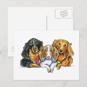 Longhaire Dachshund Trio Briefkaart (Voorkant / Achterkant)
