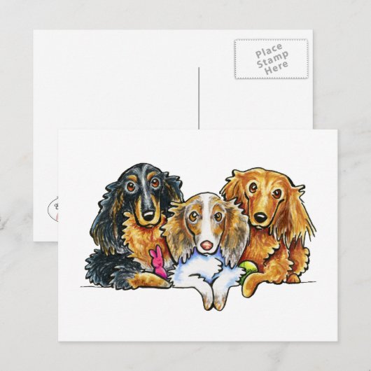 Longhaire Dachshund Trio Briefkaart (Voorkant / Achterkant)