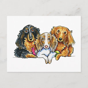 Longhaire Dachshund Trio Briefkaart