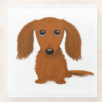 Longhaire Red Dachshund Cute Weiner Dog